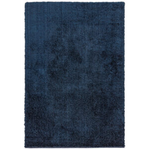 Payton Navy Rug