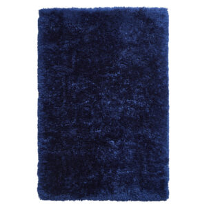 Polar PL 95 Navy Rug