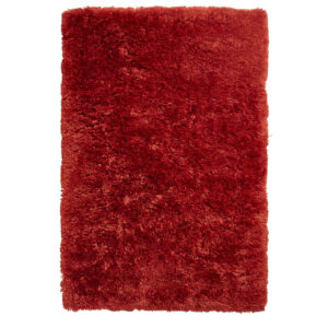 Polar PL 95 Terra Rug