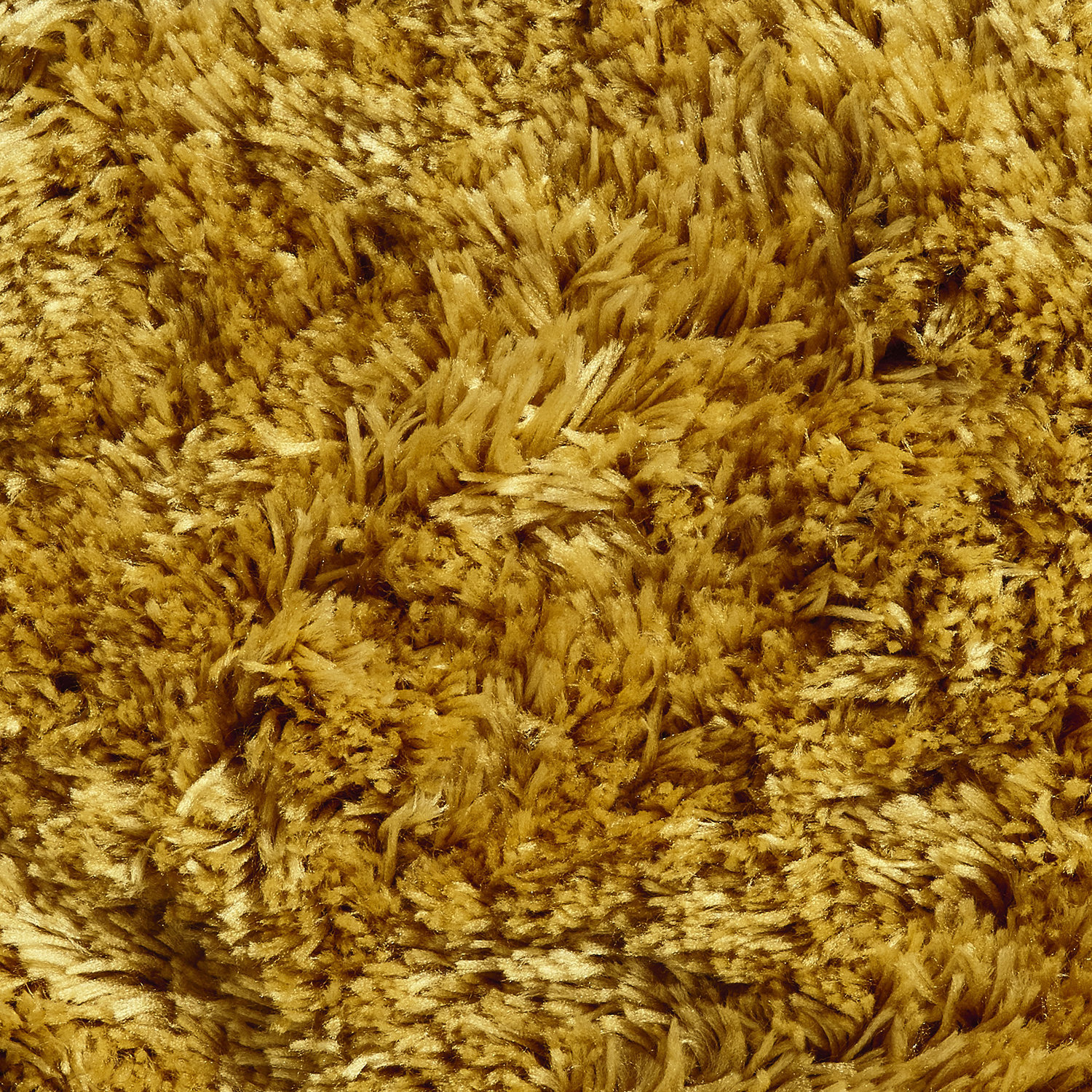 PolarPL95Yellow_5.jpg