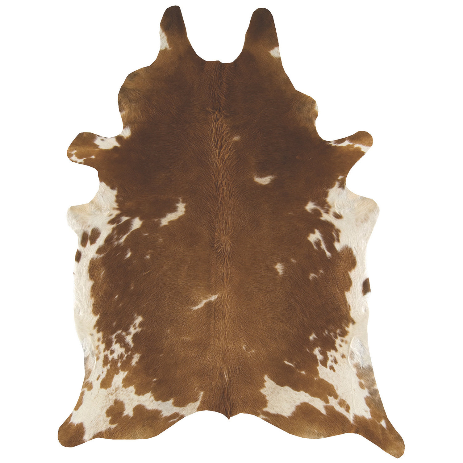 Rodeo Cowhide 02 Brown White Rug