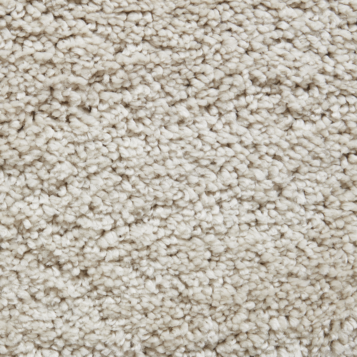 Sierra9000Cream_5.jpg