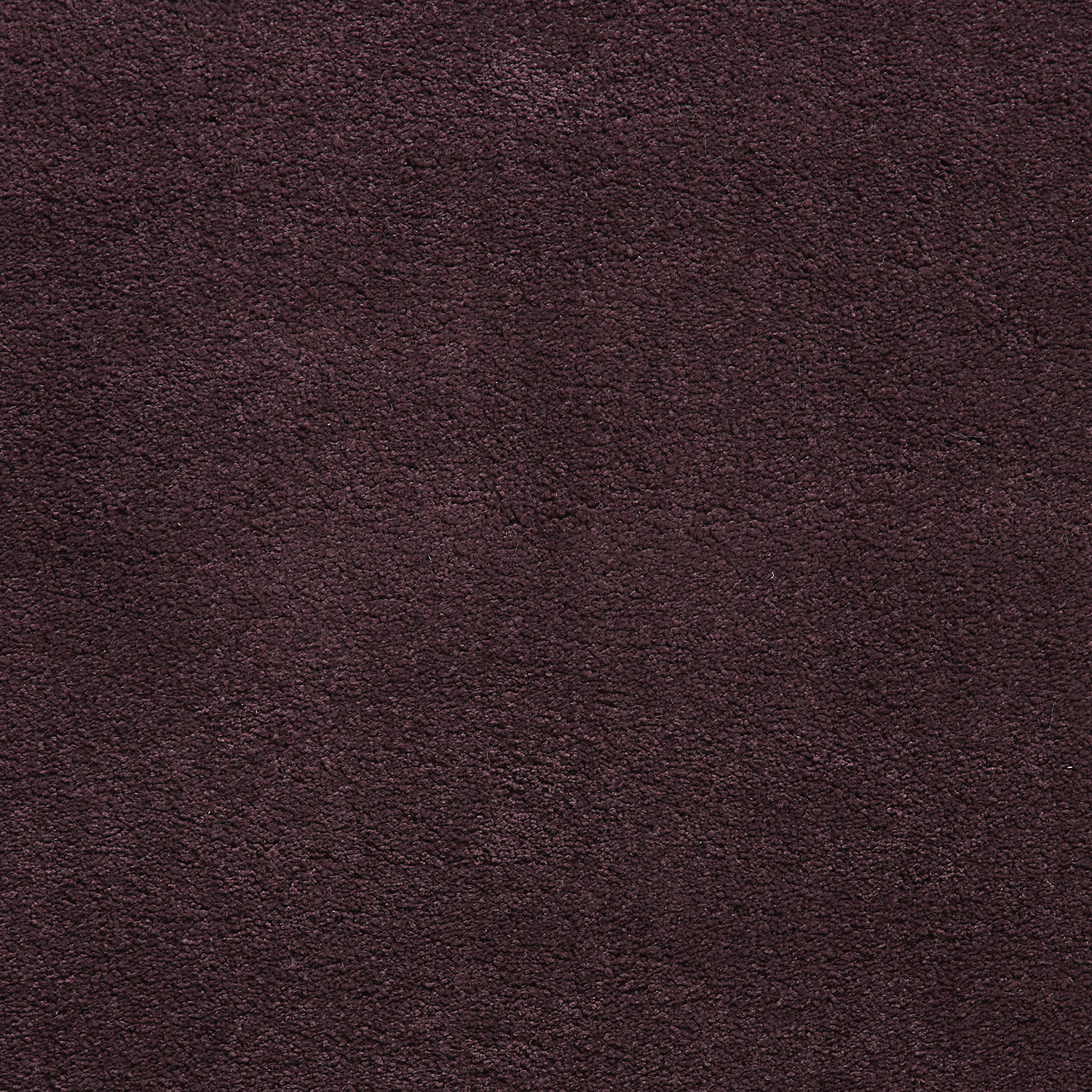Sierra_9000_Purple_5.jpg