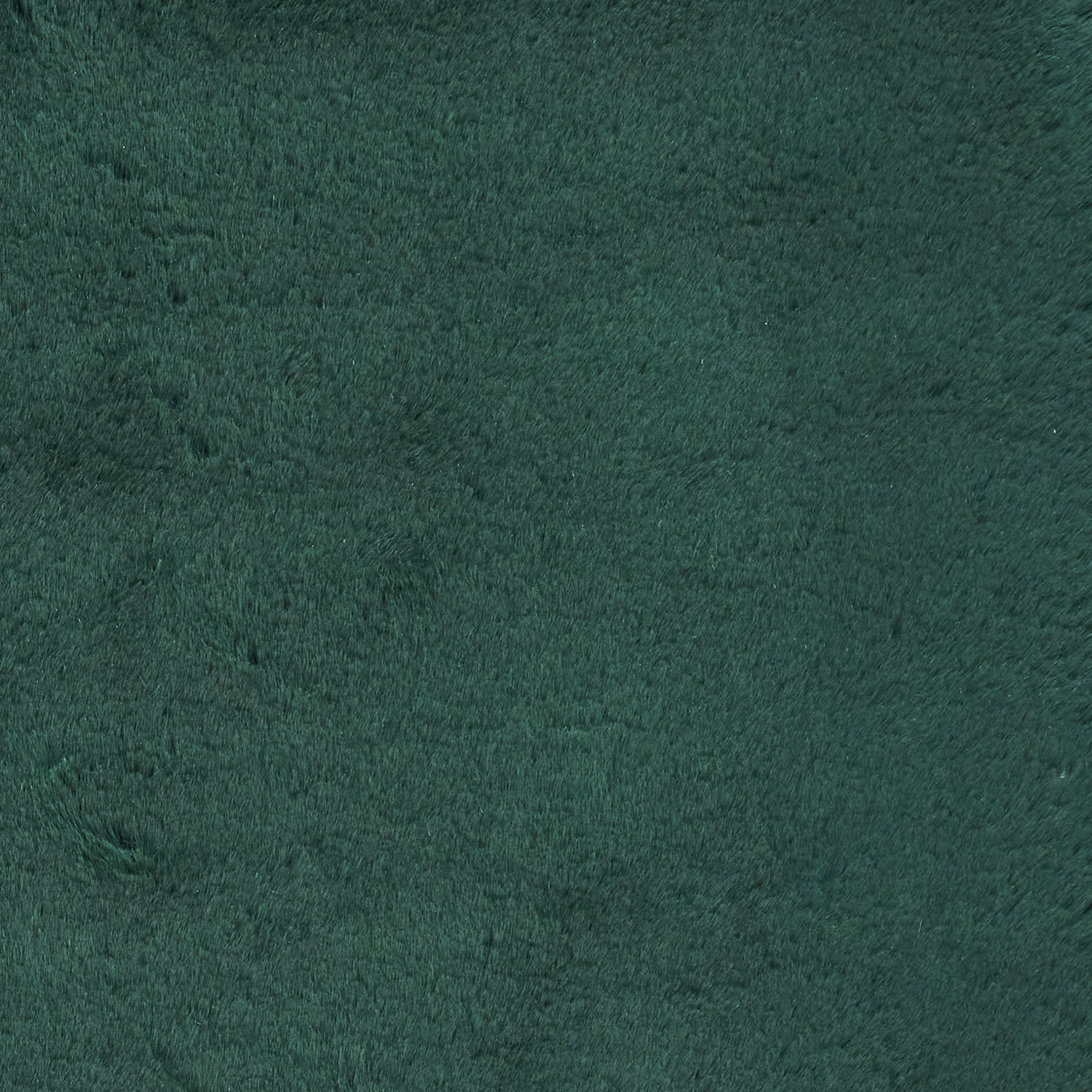 SuperTeddyJewelGreen_5.jpg