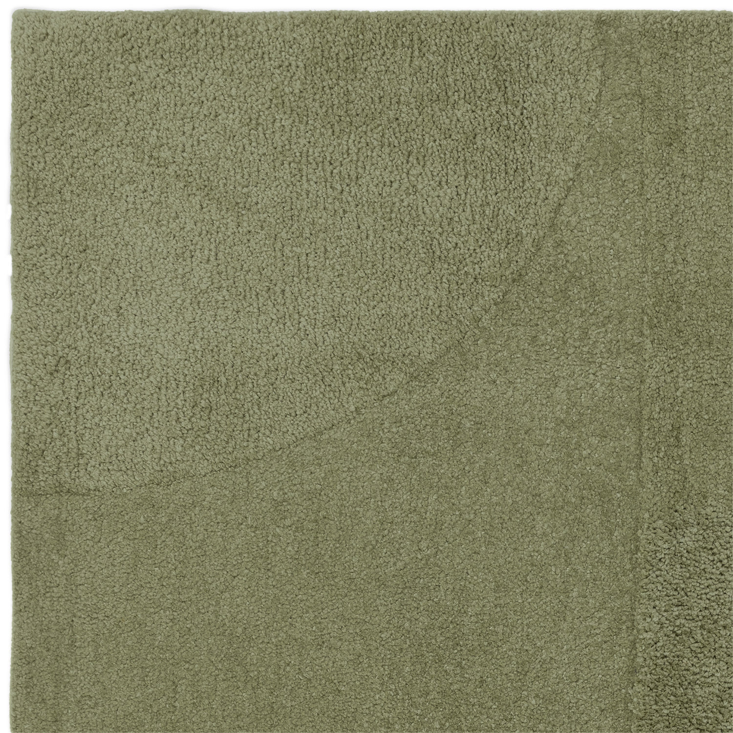 Tova_Green_2.jpg