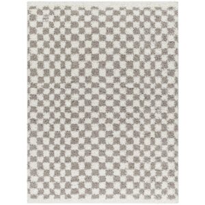 Birmingham BMM2321 Grey Checkered Rug