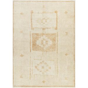Solana Becki Owens x Livabliss BOOC2300 Beige Apricot Rug