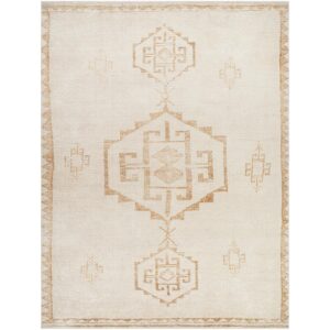 Solana Becki Owens x Livabliss BOOC2301 Beige Apricot Rug
