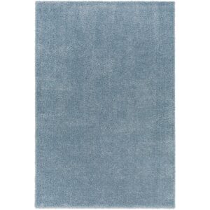 Cloudy CDG2305 Denim Rug