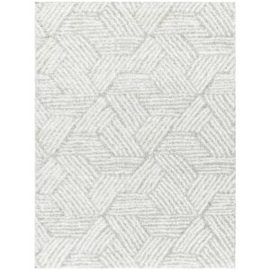Cloudy CDG2320 Light Grey Rug