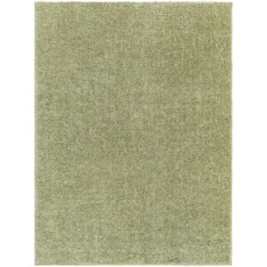 Cloudy CDG2322 Moss Rug