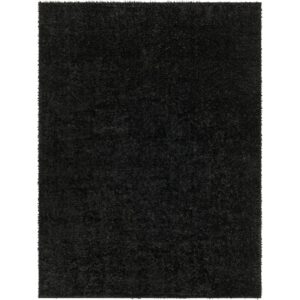 Cloudy CDG2324 Black Rug