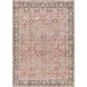 Colin CLN2301 Burnt Orange Rug