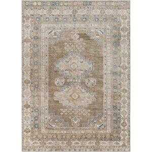Colin CLN2303 Brown Rug