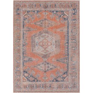 Colin CLN2306 Burnt Orange Rug