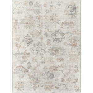 Olympic Our Pnw Home x Livabliss PNWOL2302 Beige Rug
