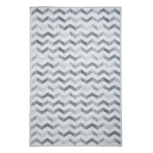Coral H1059 Grey Rug