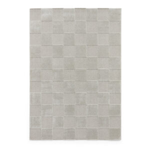 Elio 69924 Silver Rug